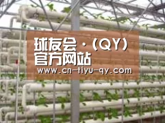 环境展示六